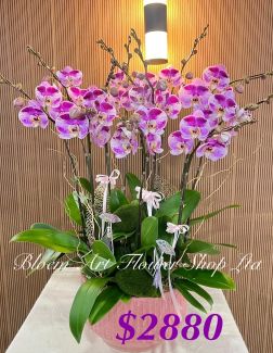 Table Arrangement - Premium CODE 63795